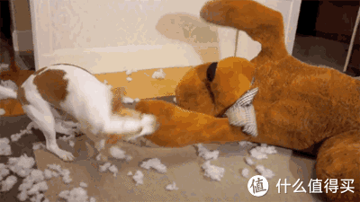 身材|实操干货｜被身材焦虑捧起来“全球销量上亿的网红束腰”会要你命！内含4个健康有效瘦腰动作