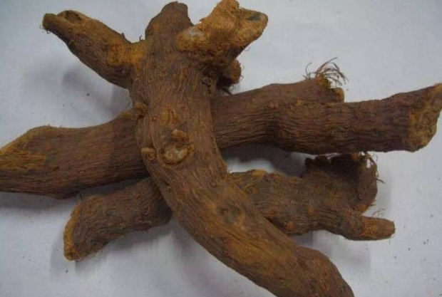 繁殖能力极强,入侵多国臭名昭著,我国却大量种植,亩产超万元
