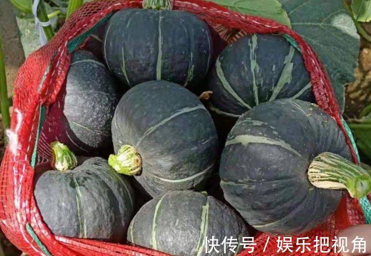 瓜皮|挑南瓜时，记住“4招”，南瓜又沙又甜，很多人都不知道