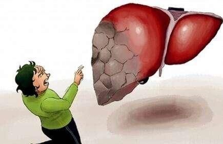 健康|肝脏“喜欢”的几种食物,每天换着吃,排毒养肝,肝脏越来越健康