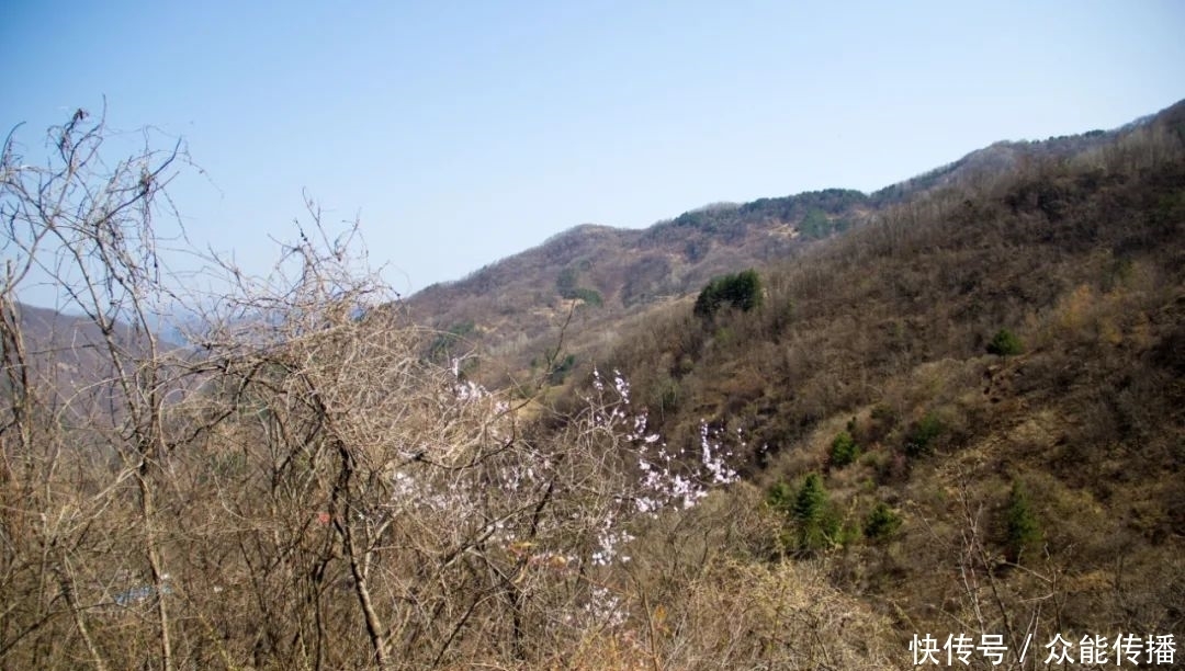 有点让人想不到，秦岭这个山顶上，竟然还住着一户人家，也太苦了