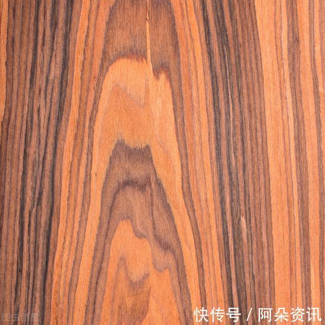 价值|院子里有空地,就种“四大名贵树”,越大价值越高