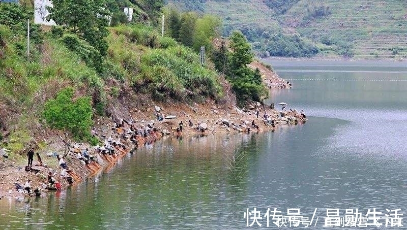 枯水期|夏季适合钓草鱼,钓点选择是前提,钓位这样选择,草鱼连竿上