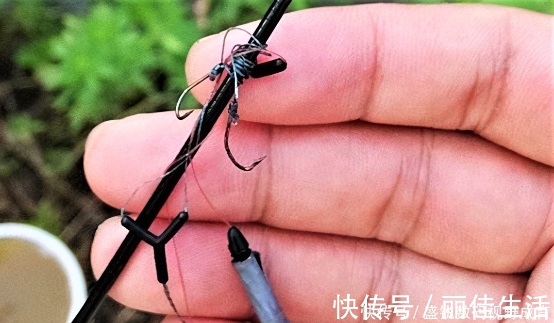 线组|钓到大鱼不切子线，却切主线是何道理？子线缠绕打结怎样解决