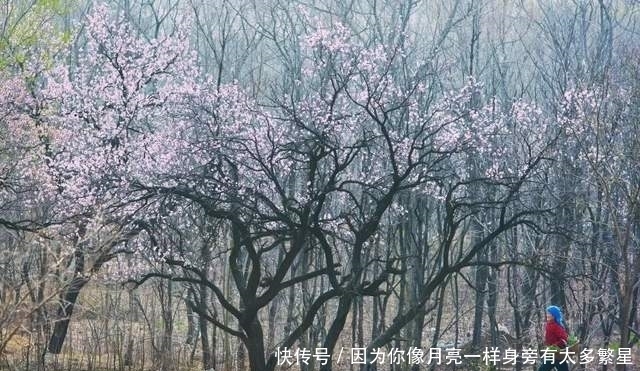 步行街|美翻!淄博还有这么一个“小而美”的地方,等你去发现!