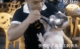 |幽默笑话:6条夫妻枕边笑话,肚子笑疼了