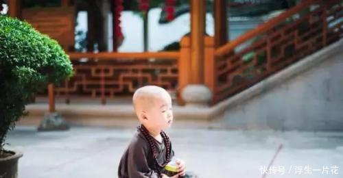 这年头,为何愿意当和尚的越来越多,去当道士的几乎没有