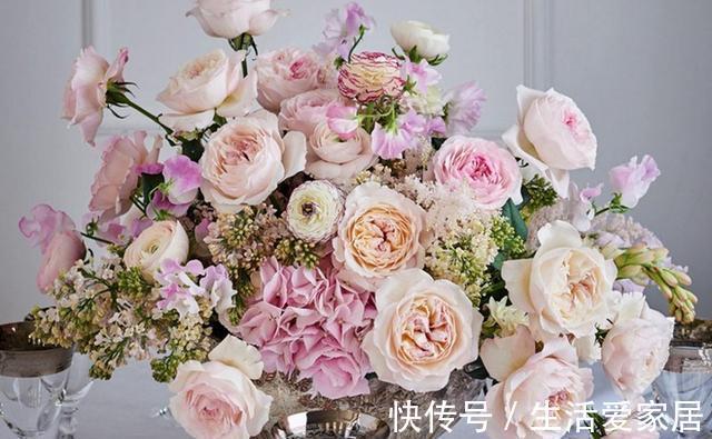 花型|10款切花月季品种推荐,送给爱你的人和你爱的人,快收藏