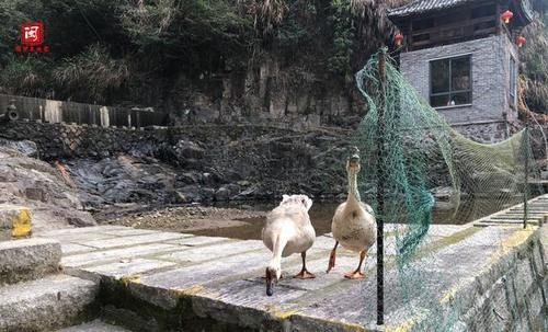 老年|福建风情丨青山绿水大福建，罗源畲乡山水美如画，一辈子必须来一次