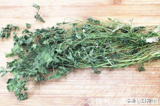 烘干机|原来保存香菜这么简单，老农教您2个土方法，放久不坏，不怕多买