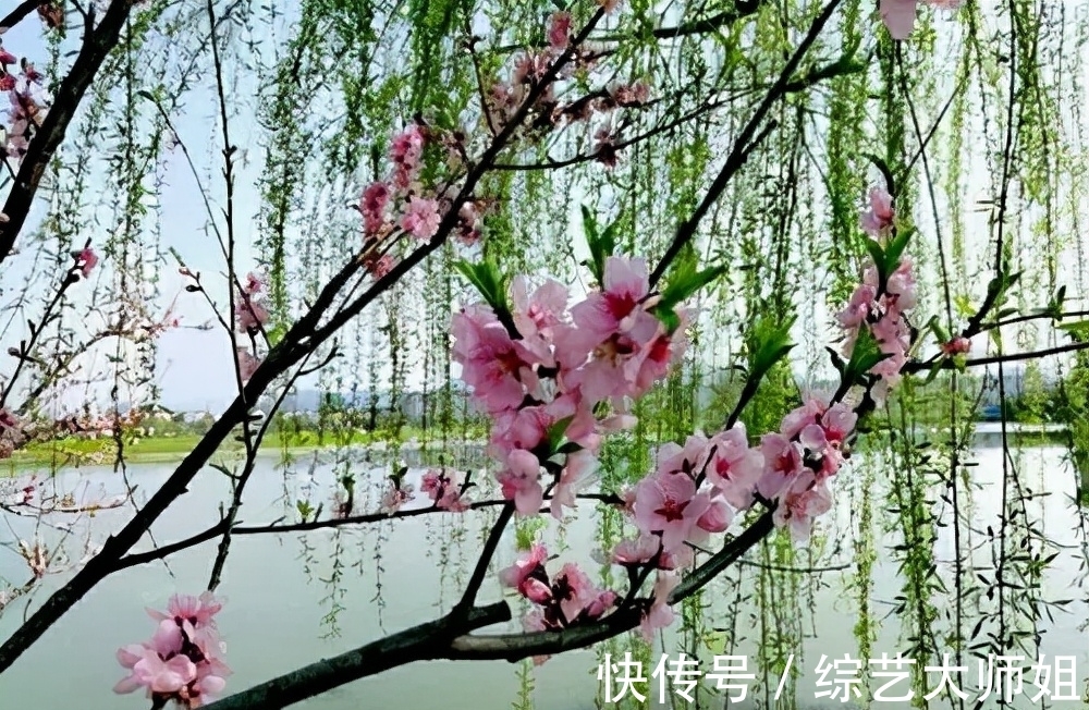 离别!不落窠臼的送别诗,这位诗人真洒脱,开眼了