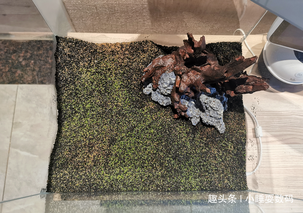 哪种鱼缸更适合养鱼画法几何AI智能鱼缸,水质监测还能自动喂食