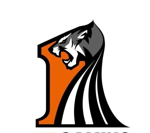 不满|17不满战队表现称不配进决赛 兽兽表示希望打淘汰赛找比赛节奏