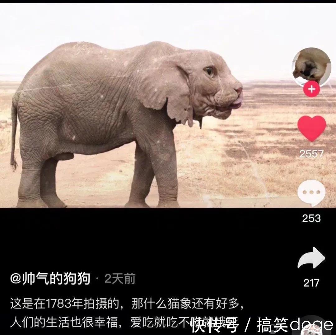 |搞笑合集:我一定是穷疯了,看啥都感觉像钱,还有救吗