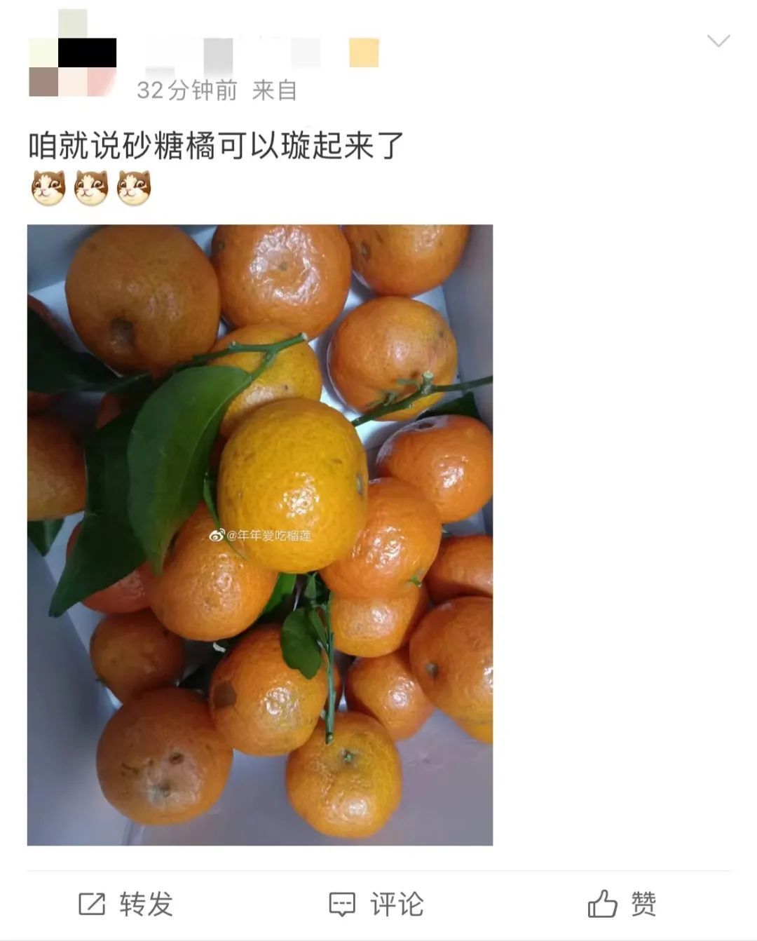 计量单位|砂糖橘冲上热搜!网友:?太上头了