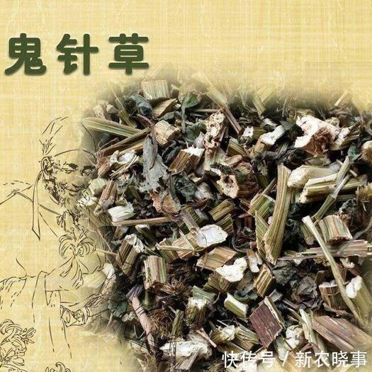 一种鬼针草，农民最讨厌，见了就砍掉，却不知它是价值高的宝