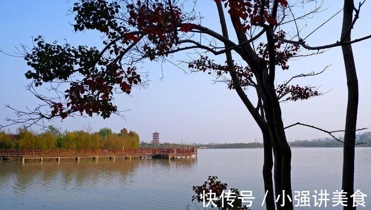 儿童乐园|临颍：黄龙湿地公园染秋色，霜降枫红银杏黄