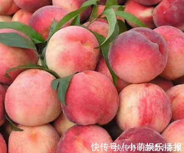 预防贫血|消化科医生劝告4种水果尽量少吃,越吃免疫力越低不妨了解下