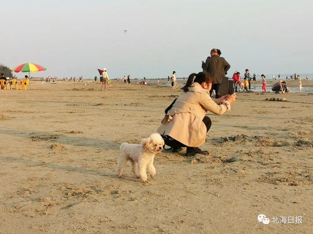 春节出游，来看看哪些行为让人“辣眼睛”