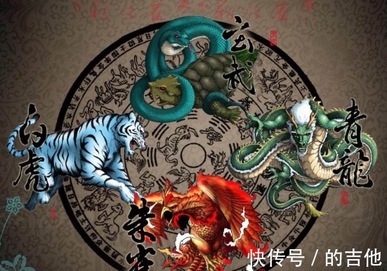 斗罗大陆|斗罗大陆中国四大神兽化身武魂,没有一个落下牌面