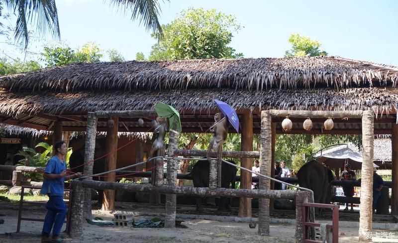 中年|一路乘风破浪---攀牙湾喀斯特群岛探索之旅。