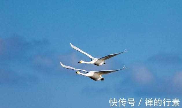 晏殊|唯美诗词名句100句,每一句都是精华中的精华