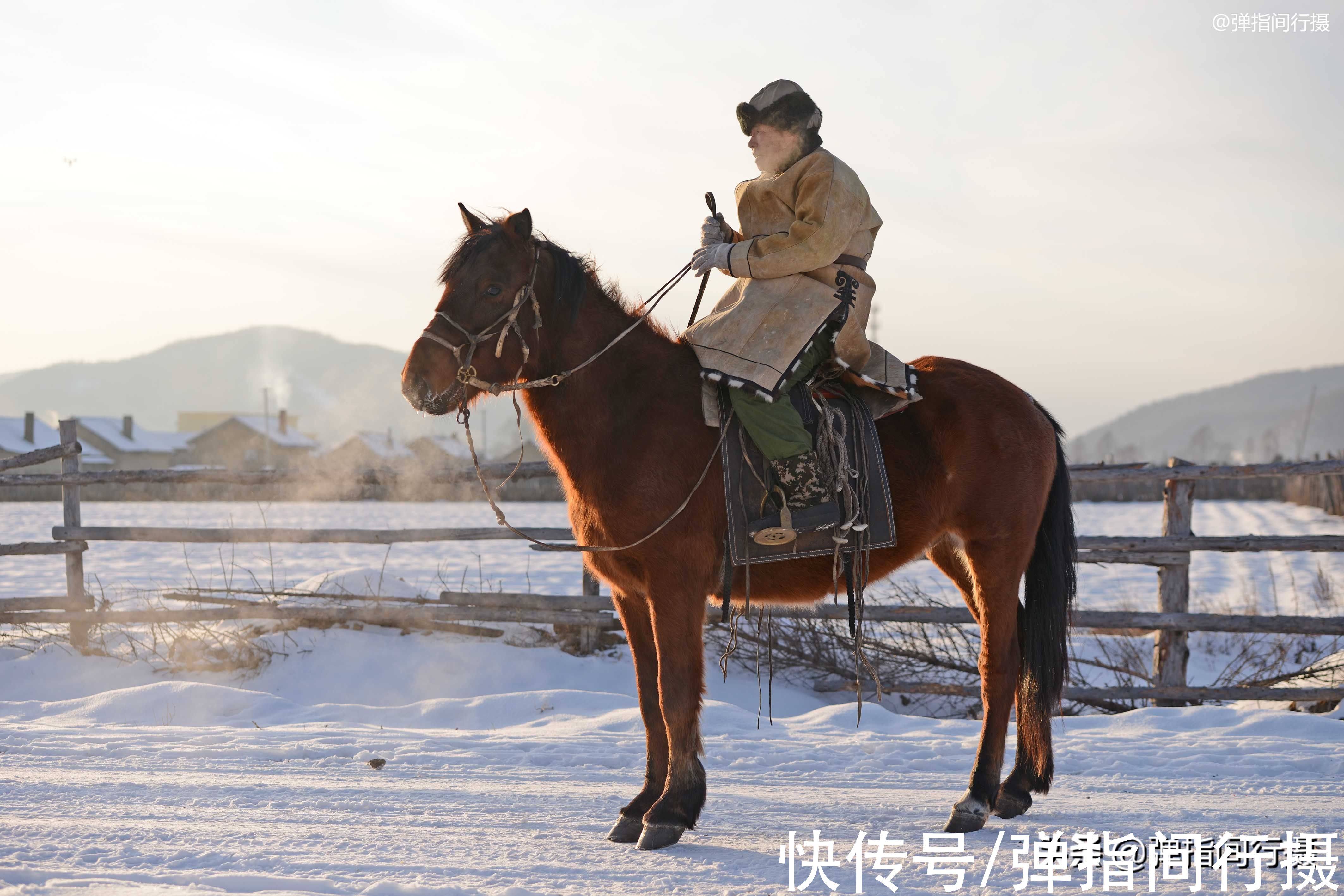 驯鹿|大兴安岭深处的少数民族，全国仅9000余人，以前被称为“森林人”