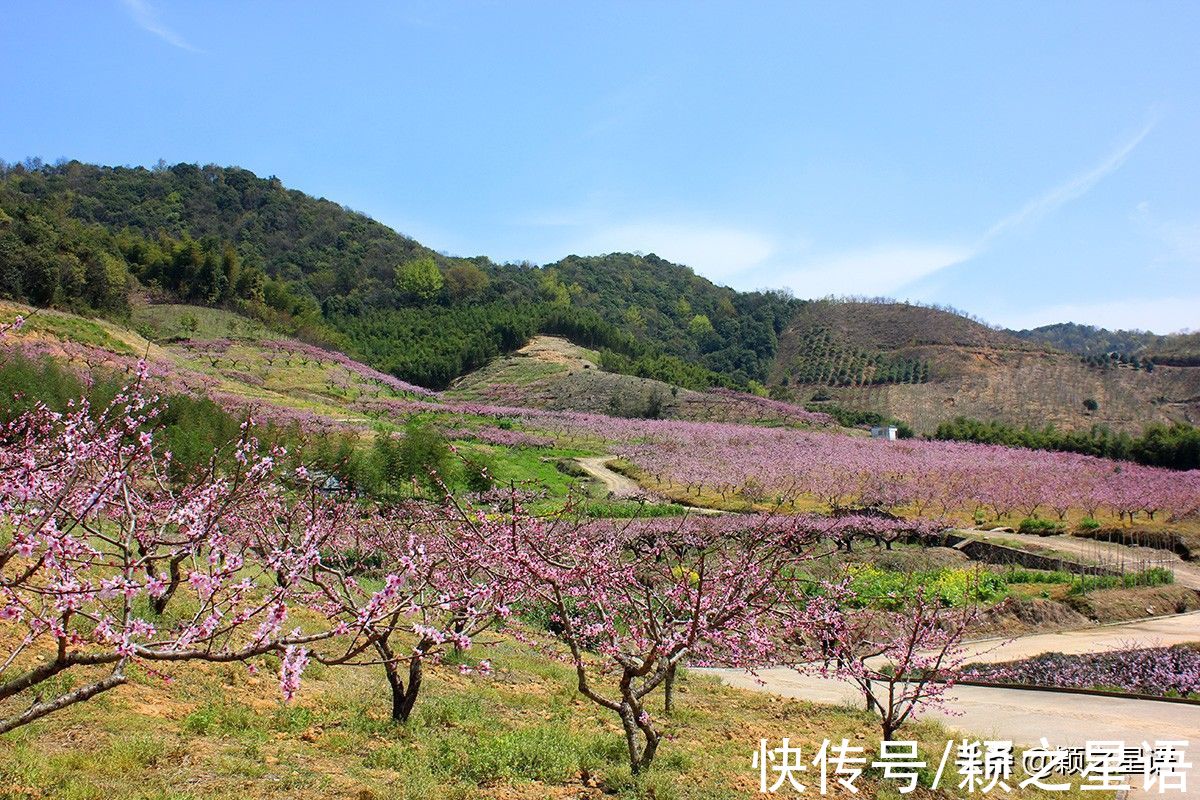 花海|宁波赏梅地，梅开成海，首选一二三