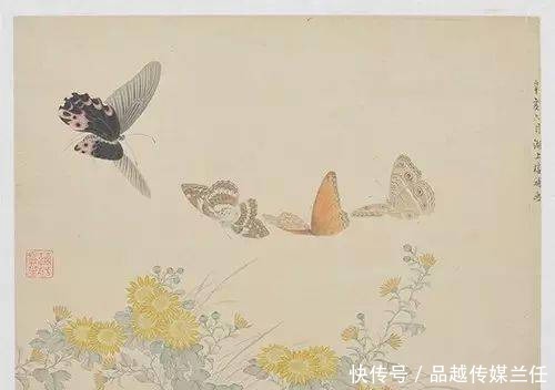 这位知县爱画蝶,慈禧叫他“范蝴蝶”