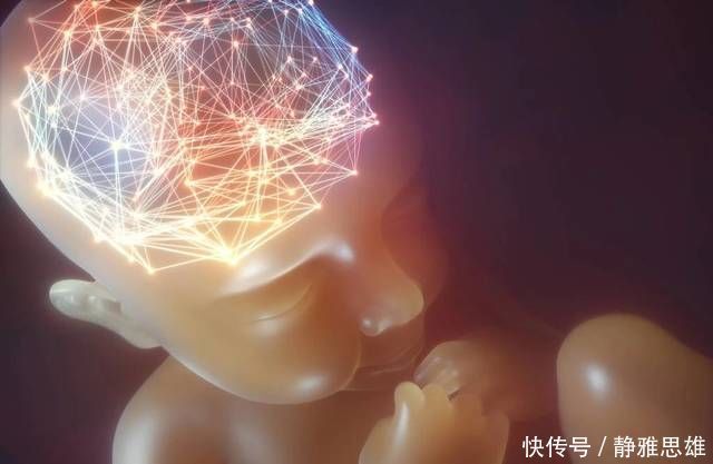 大脑|决定孩子聪明的因素有哪些?注意这几点,别耽误了你家孩子变聪明