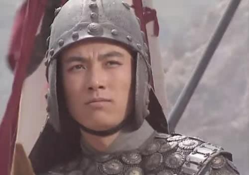 蜀汉|蜀汉最后的擎天之柱——姜维