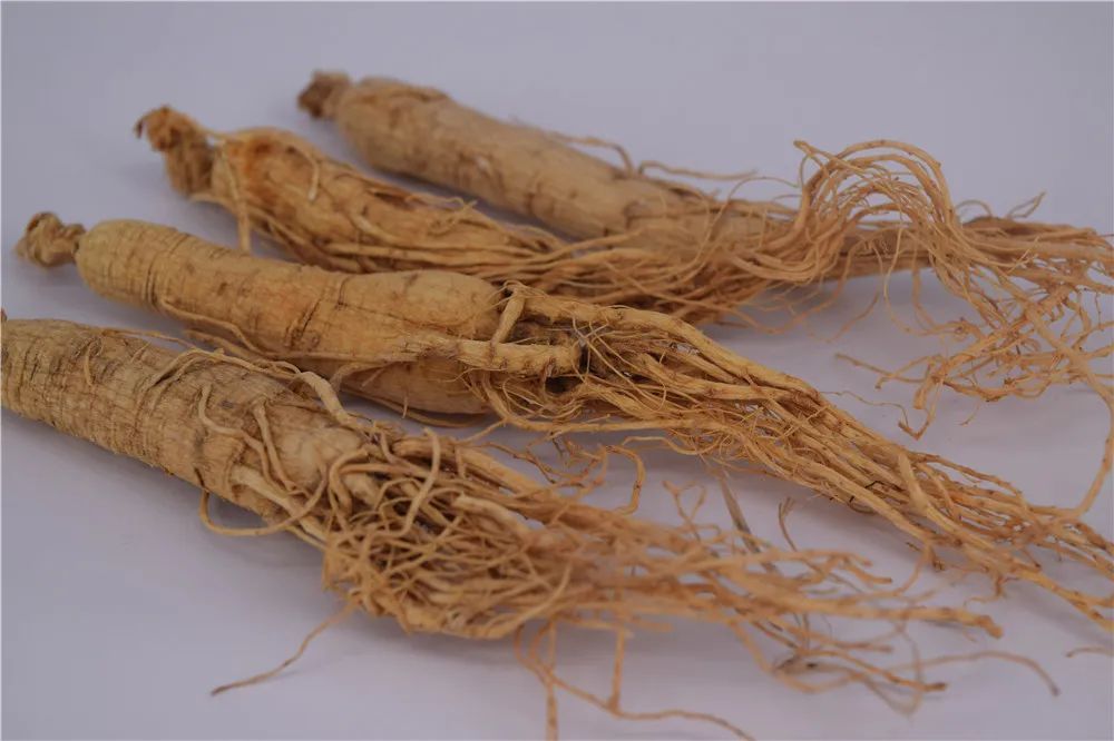 一个都不能少|赫哲人撒开千张网，船儿满江鱼满舱丨一个都不能少——长卷寻宝