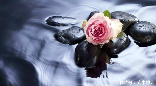 本是青灯不归客,却因浊酒留风尘,十首禅意诗,十种人生大境界!