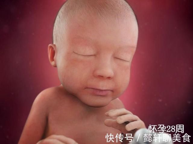 胚泡|组图了解胎儿在子宫中的生长过程,生命太奇妙了!准爸妈们看看