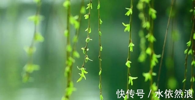 春天的故事&诗词：裙角飘扬风乍起，桃花轻薄女儿唇