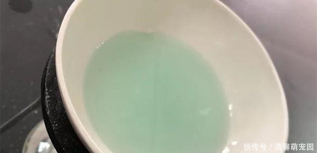 花盆|养花浇了“夺命水”,难怪烂根、黄叶,2种水“千万”别乱用