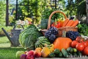 长寿|公认的7大长寿习惯,运动排最后,榜首可能很多人没想到