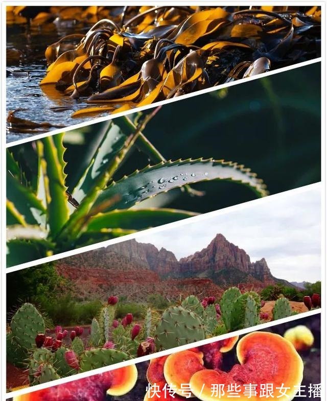 植物 护肤品中的纯植物成分,为什么有用!