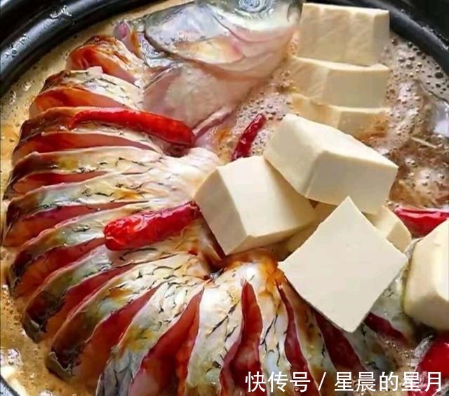 黄焖鸡米饭|草鱼的懒人做法，用一条鱼、一碗豆腐、一束金针菇碰撞出的火花！