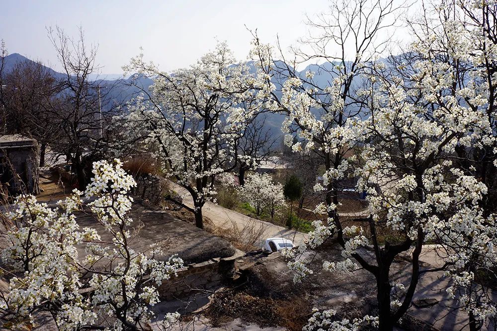 风景区|每日一景：井陉美——辛庄乡