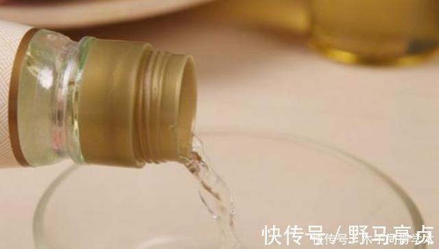 君子兰生长不佳,就喂一些“醋”,根系更壮硕,花朵更艳了