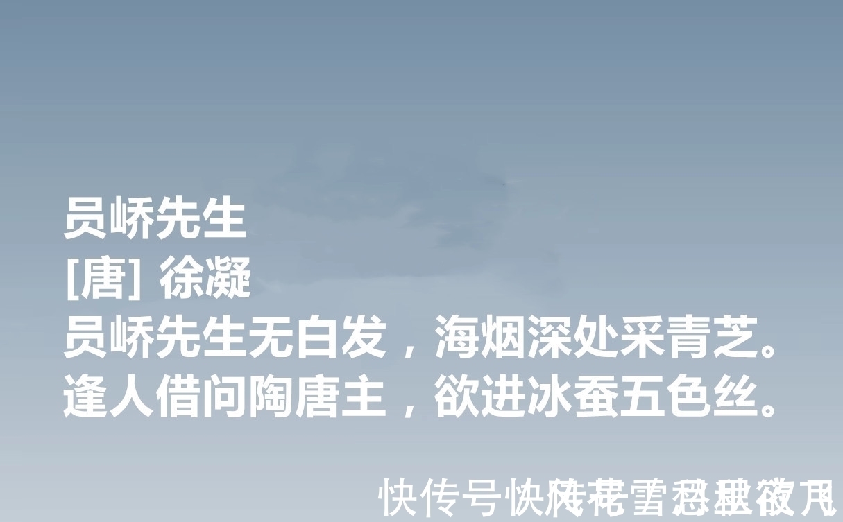 牡丹&唐朝低调诗人,徐凝十首诗作,牡丹诗登峰造极,七言绝句堪称高手