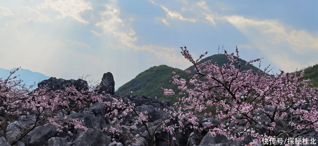 广西灌阳县旅游名村文市镇月岭村旅游观光精华介绍记