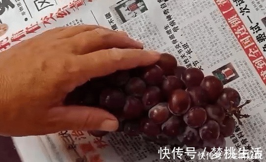葡萄皮|洗葡萄，只会用盐水就错了！多加2样，虫子乖乖逃走，又快又干净