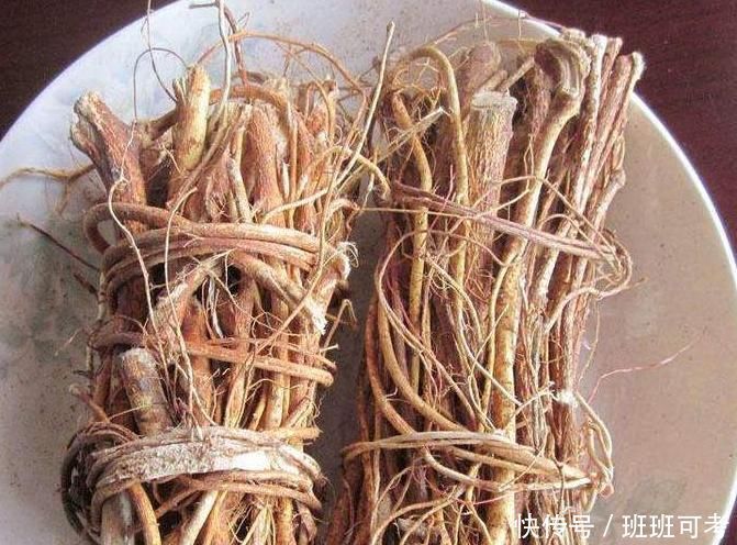 土人参|农村的此物，人称“土人参”，根部价值极为珍贵，遇见请珍惜