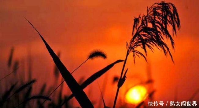 “人不为己,天诛地灭”是自私很多人都误解原意了