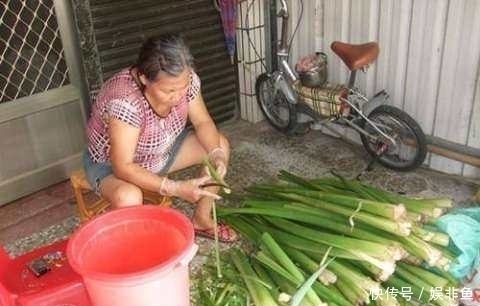 这种菜叶子别再丢掉了,用来腌咸菜, 百吃不腻