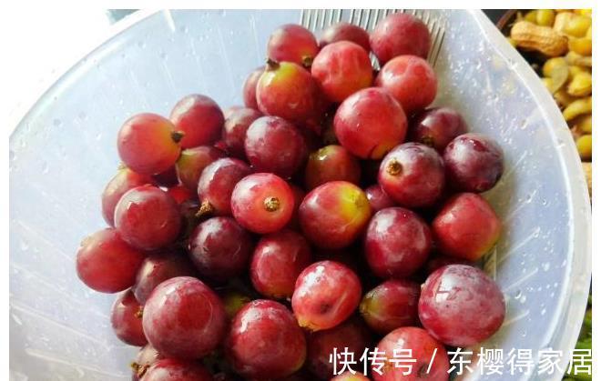 毛豆|在家做元气满满的早餐,吃饱每天都有好心情,健康美味又省钱