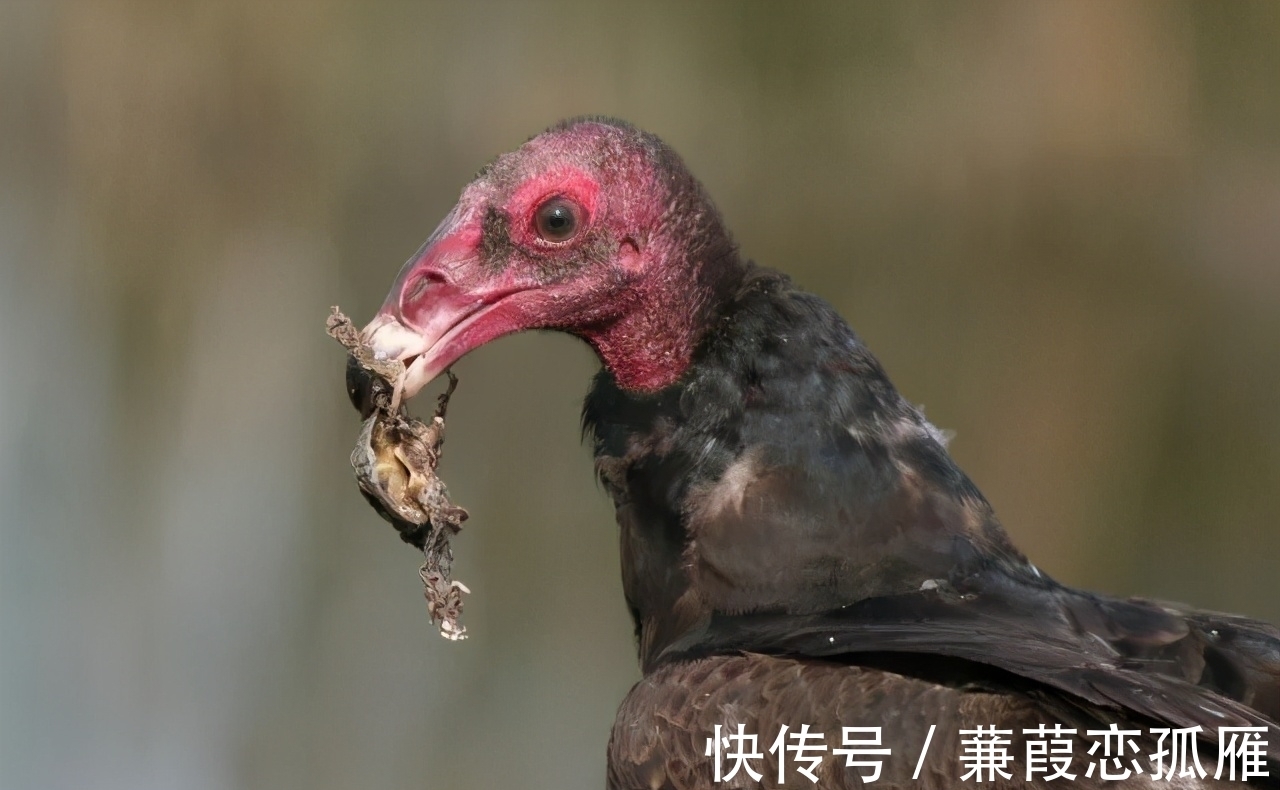 趣味冷知识分享，快来一起看看吧！