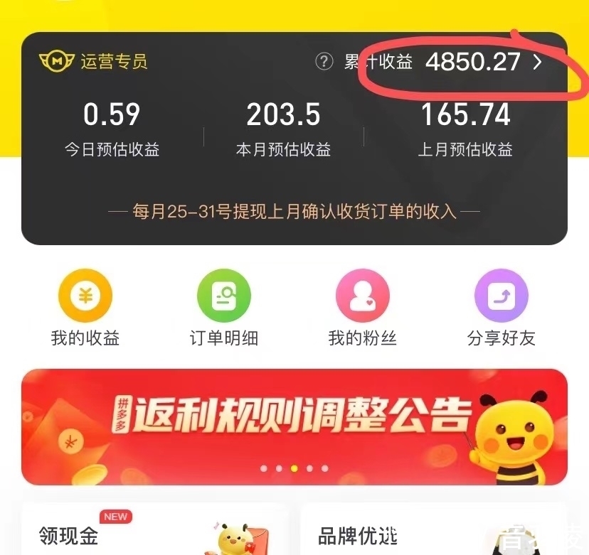 王夏|双11背叛双11①薅不动的羊毛：6名资深玩家解“套”记